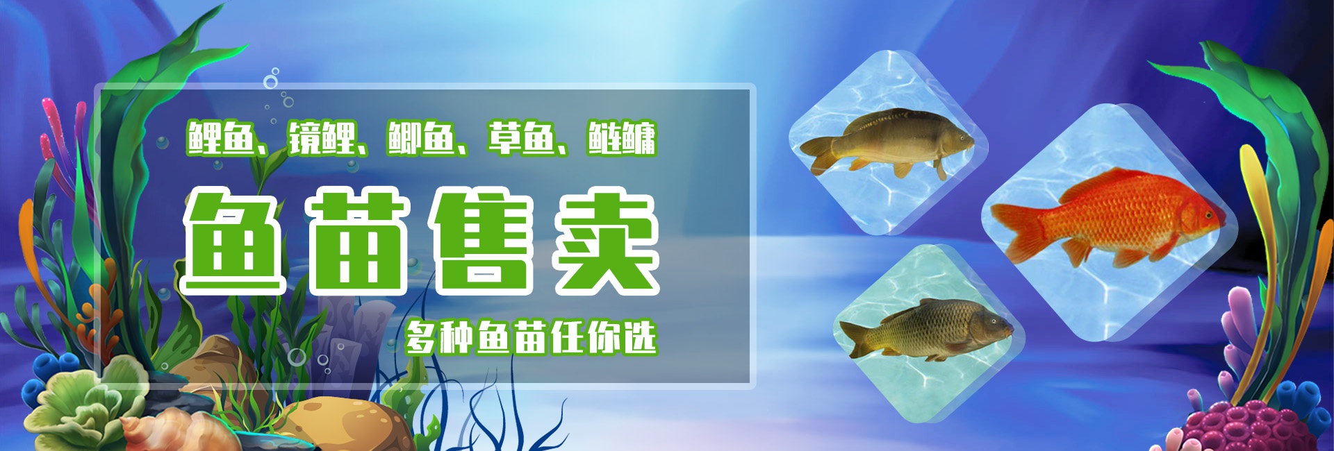 &#84;&#111;&#107;&#101;&#110;&#38065;&#21253;&#40;&#20013;&#22269;&#21306;&#41;&#23448;&#26041;&#32593;&#31449;&#124;&#84;&#111;&#107;&#101;&#110;&#23448;&#26041;&#65;&#80;&#80;&#19979;&#36733;&#45;&#20320;&#30340;&#36890;&#29992;&#25968;&#23383;&#38065;&#21253;
